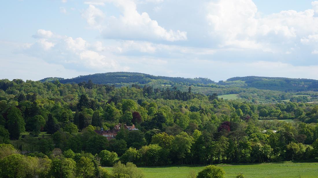 a view of leith hill from ranmore, dorking, surrey