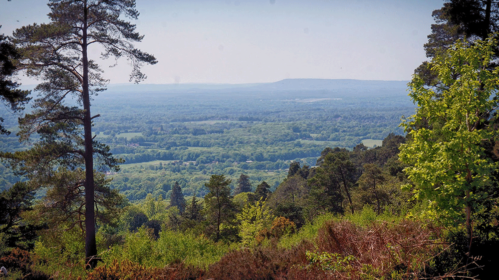 The view from Leith Hill over the weald looking at the south downs in the distance